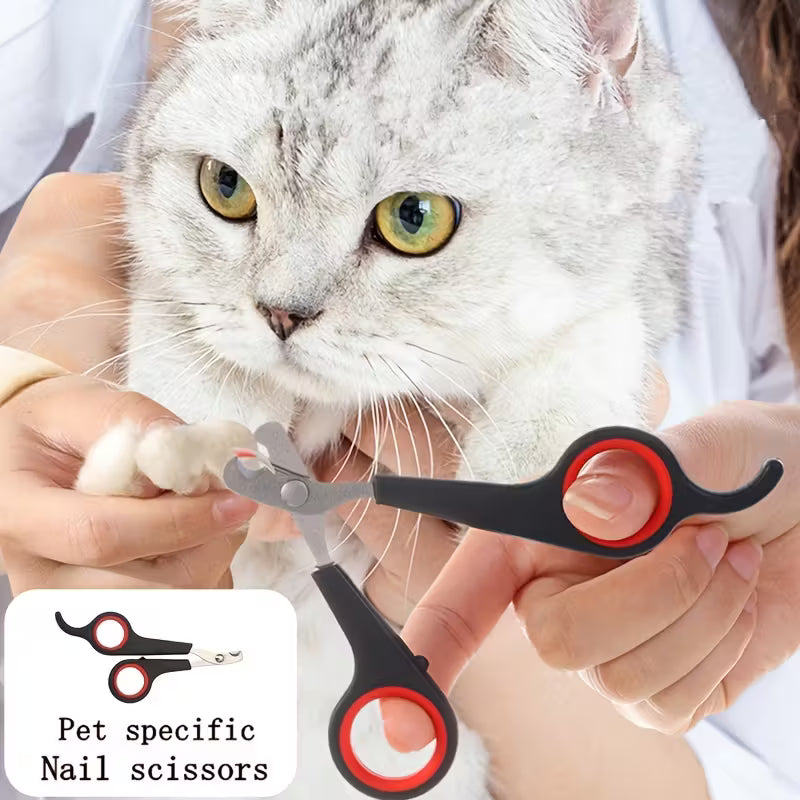 Dog Hair Grooming And Bath Beauty Tool Set