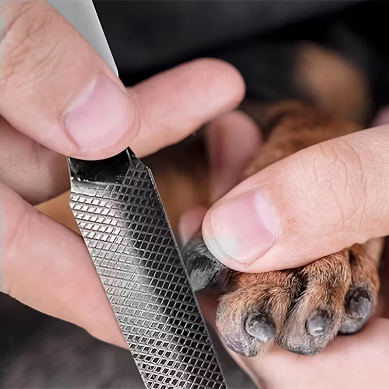 Dog Hair Grooming And Bath Beauty Tool Set